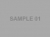 sample01